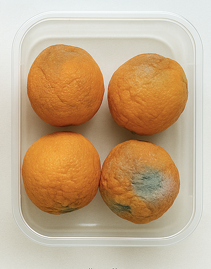 Pest-Free uygulanmamış portakal